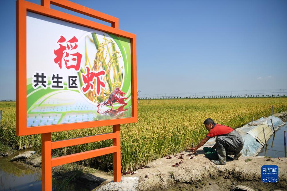 希尔顿电子游戏网站